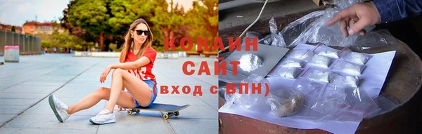 стафф Елизово