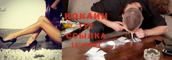 скорость Ельня