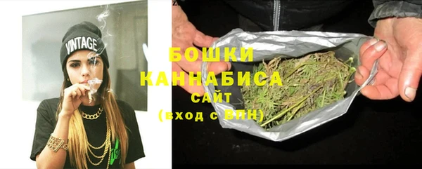 стафф Елизово