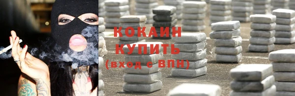 скорость Ельня