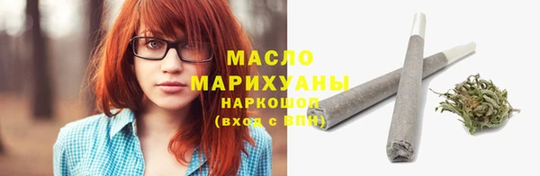 скорость Ельня