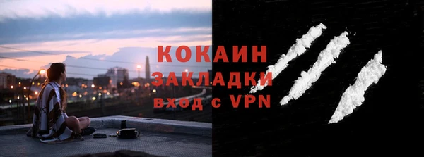 стафф Елизово
