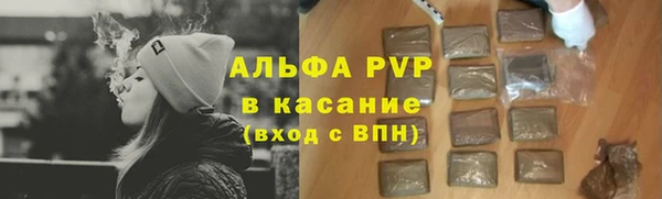стафф Елизово