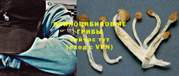 таблы Елабуга