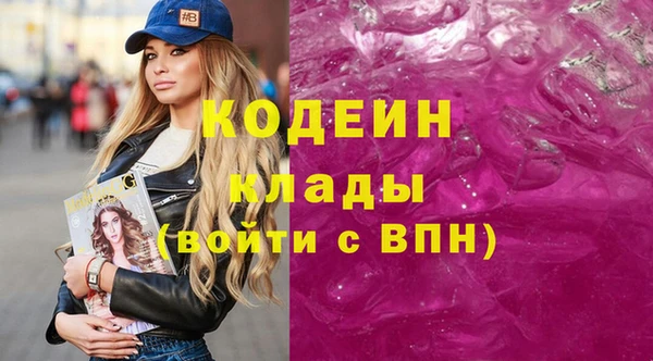 скорость Ельня