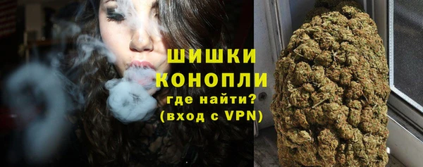 гидра Галич