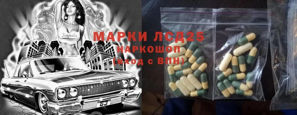 стафф Елизово